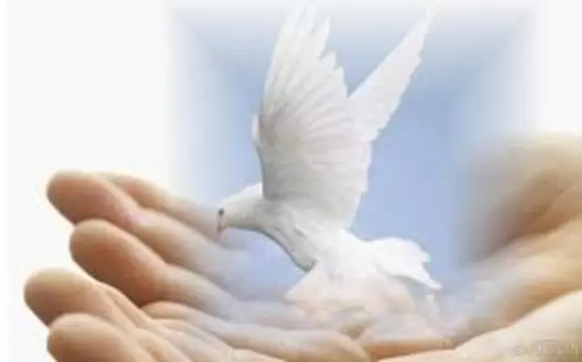 Agape Home Care