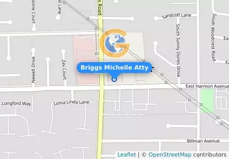 Briggs Michelle Atty