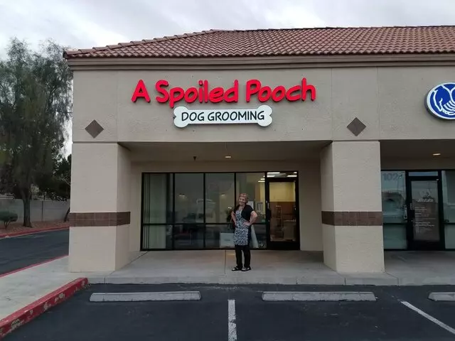 A Spoiled Pooch