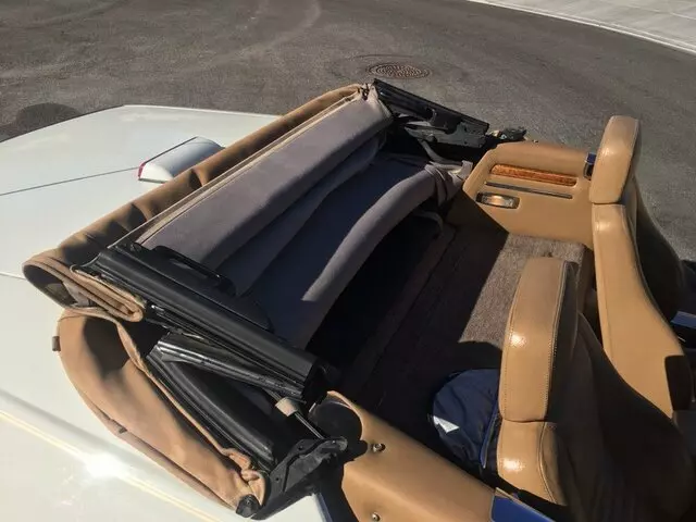 Aloha Mobile Detail