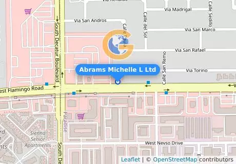 Abrams Michelle L Ltd