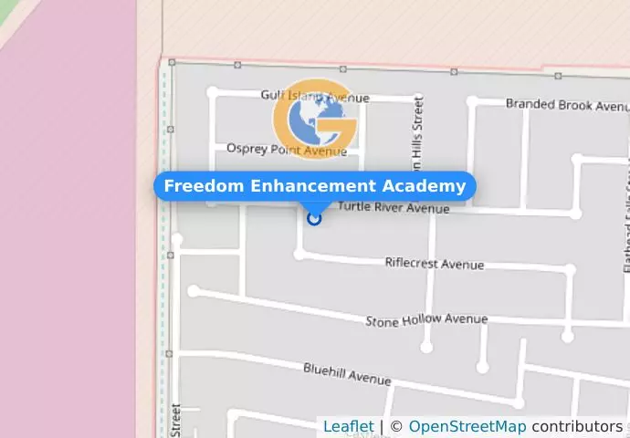 Freedom Enhancement Academy