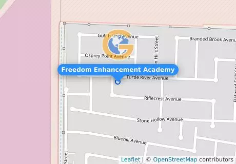 Freedom Enhancement Academy