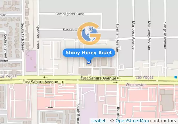 Shiny Hiney Bidet