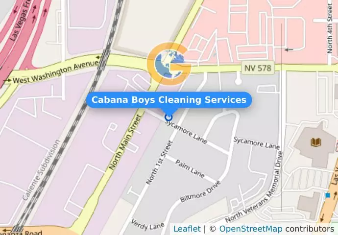 Cabana Boys Cleaning Services
