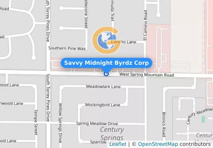 Savvy Midnight Byrdz Corp