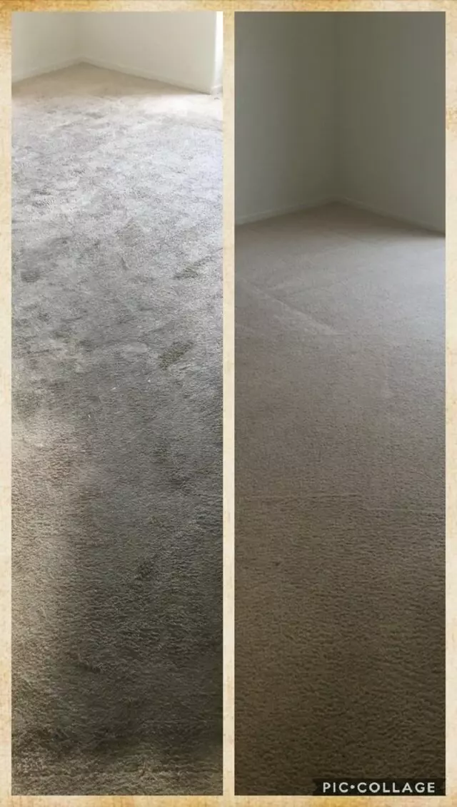 All Access Carpet Cleaning & Janitorial Services