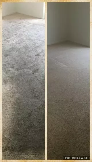 All Access Carpet Cleaning & Janitorial Services