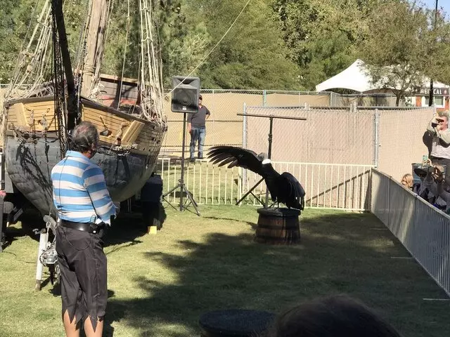 Age of Chivalry - Renaissance Festival