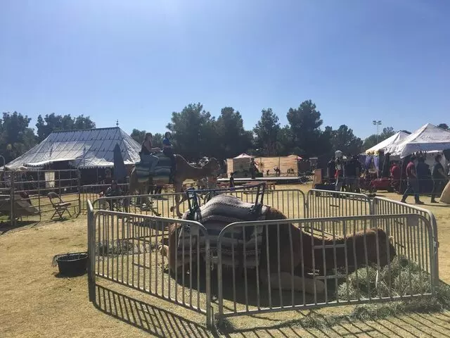 Age of Chivalry - Renaissance Festival