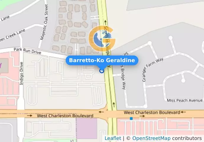 Barretto-Ko Geraldine