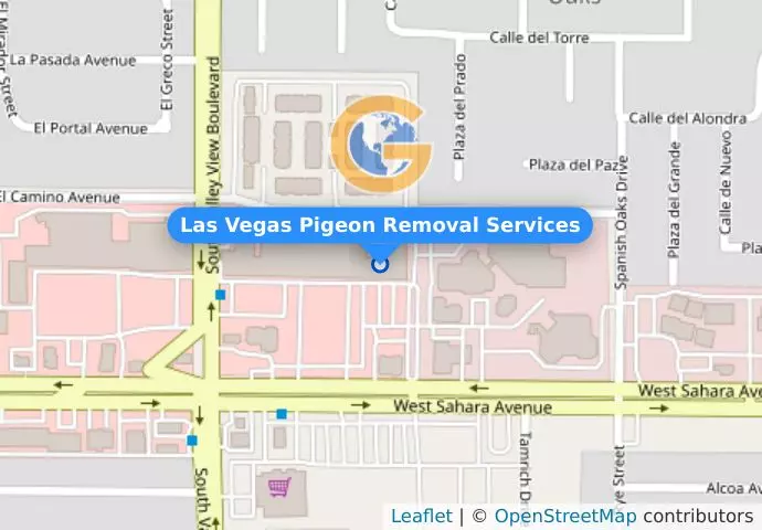 Las Vegas Pigeon Removal Services