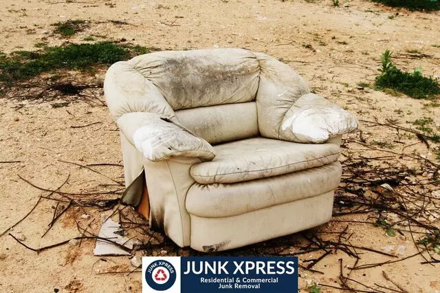 Junk Xpress