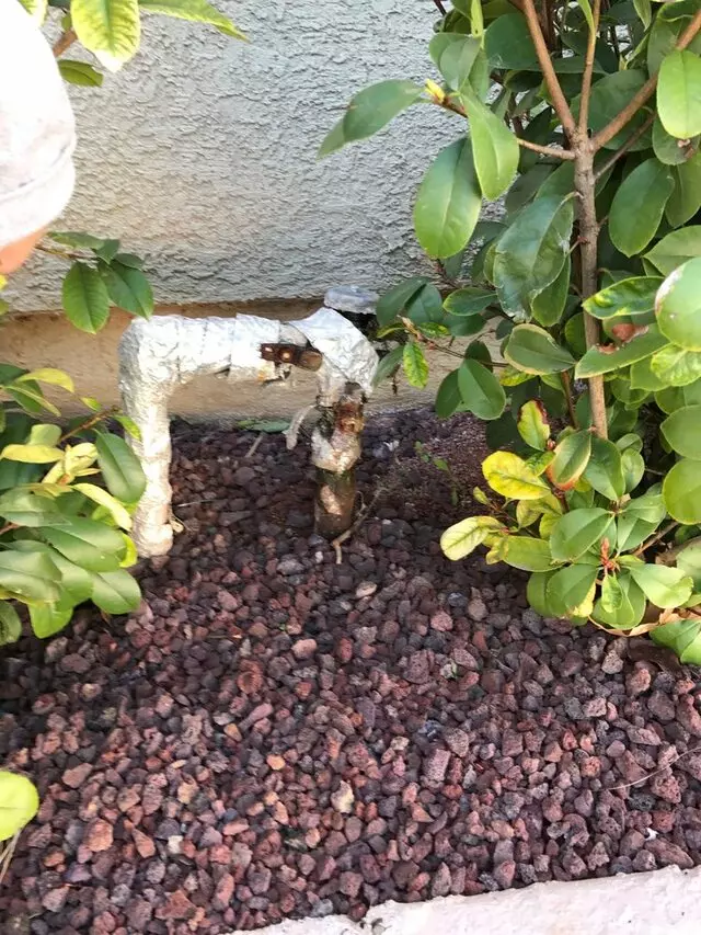 Andrews Plumbing and Repair