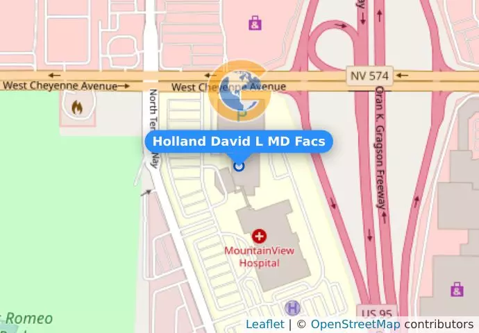 Holland David L MD Facs