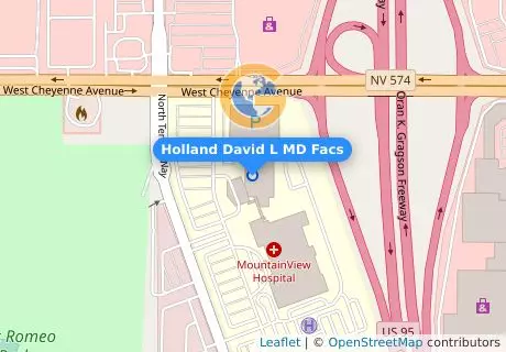 Holland David L MD Facs
